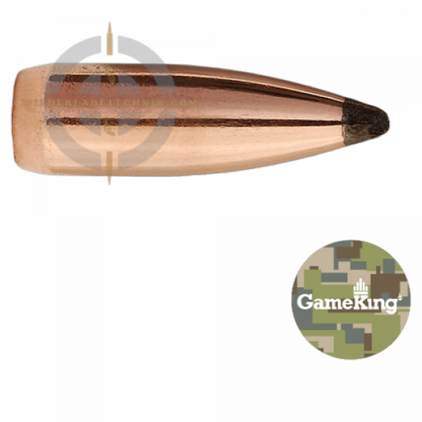 Sierra GameKing 1365 Geschoss